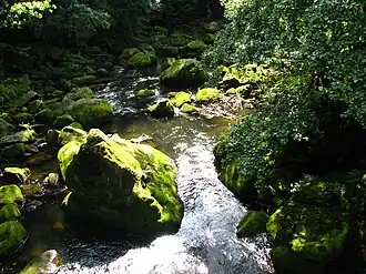 Die Irreler Wasserfälle der Prüm von der Brücke aus (2011)