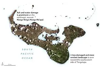 Landsat-8-Satellitenbild der von Asche bedeckten Insel Tongatapu am 26. Januar