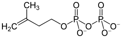 Strukturformel von Isopentenylpyrophosphat