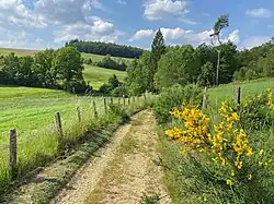 Ispringrader Bachtal