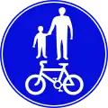 228 Gemeinsamer Geh- und Radweg