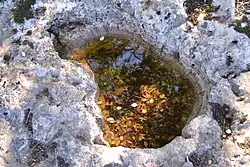 Das Becken auf dem Dolmen