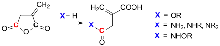 Reaktionen von Itaconsäureanhydrid mit Nukleophilen