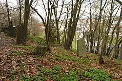 juedischer-friedhof-laufenselden