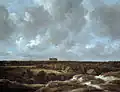 Jacob van Ruisdael: A View of Haarlem and Bleaching Fields (Los 74)[34]