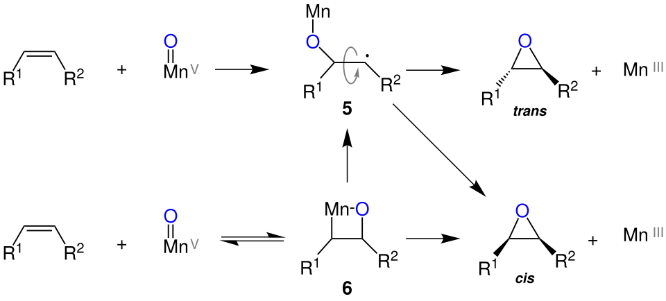 Radikalischer und Mangano-Oxetan Mechanismus der Jacobsen-Epoxidierung