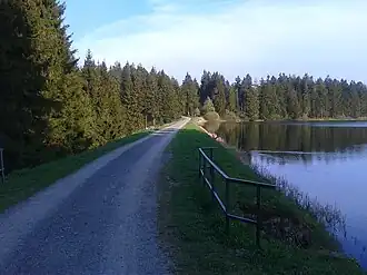 Teichdamm mit Überlauf, Mai 2012