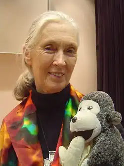 Porträt von Jane Goodall mit einem Stoffaffen auf dem Arm aus dem Jahr 2006