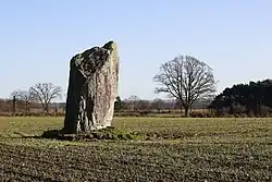Der abgebrochene Menhir Pierre aux Fées auf dem Champ-de-la-Pierre
