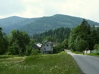 Der Jasień von Półrzeczki