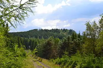 Der Jelení hora von Norden gesehen