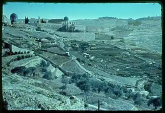 Foto (Mitte 20. Jhd.)