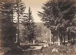 3 Fotografien von Jindřich Eckert