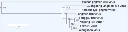 Stammbaumzeichnung der Verwandtschaftsbeziehungen
