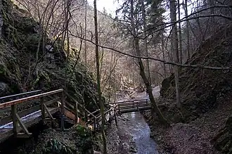 NÖ: Johannesbachklamm
