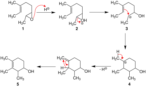 Vereinfachter Mechanismus der Johnson-Polyen-Zyklisierung