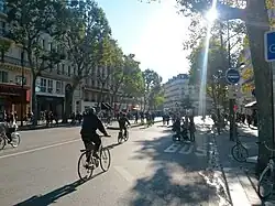 Seitliche Farbfotografie einer Allee mit Fahrradfahrern und Fußgängern auf der Straße. An den Seiten sind alte Häuserfassaden mit Geschäften. Rechts ist eine Busfahrbahn mit den dazugehörigen Hinweisschildern auf dem Bürgersteig.