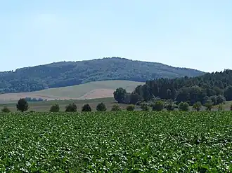 Blick von Norden (Standort nahe der Landesstraße 1002; Hohengandern–Gerbershausen) zur Junkerkuppe