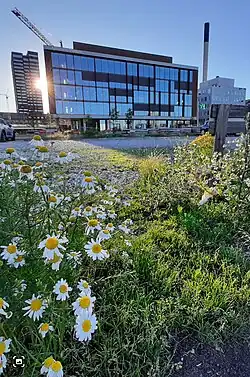 Der Hauptsitz von Jyllands-Posten am Hafen von Aarhus im Sommer 2022.