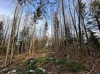 Königsberg, höchster Punkt