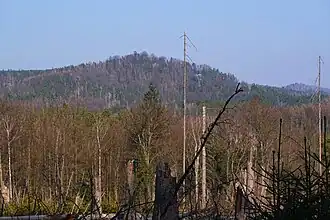 Blick vom Fuß des Raumbergs zum Königsplatz