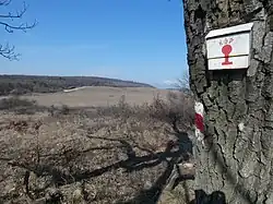 Stempelstelle des KDP