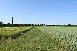 Lehr- und Versuchsfeld der Landwirtschaftlichen Fakultät der Universität Halle (Saale)