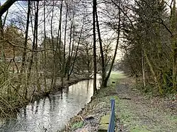 Die Kürtener Sülz zw. Eichhof und Sülze