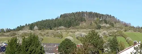 Gipfel des Saupurzels im Frühling