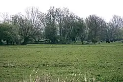 Turmhügel „Judenberg“ Kagenow