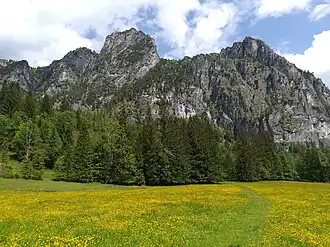 Blick von der Laussabaueralm