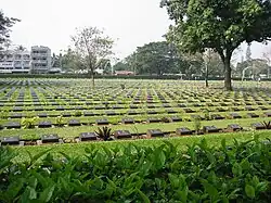 Friedhof der beim Bau der Brücke getöteten Zwangsarbeiter