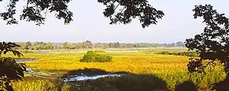 Blick über den Kasanka-Nationalpark