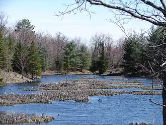 Im Kawartha Highlands Provincial Park
