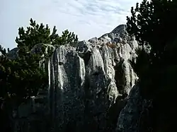 Verkarsteter Dachsteinkalk am Kehlstein, Berchtesgadener Alpen
