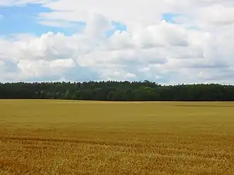 Blick auf den Hohen Zwerg