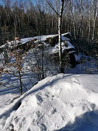 Der Kemtauer Felsen ist ein Berg im Erzgebirge