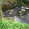 Das Wehr am Stevenston Burn im Kerelaw-Tal