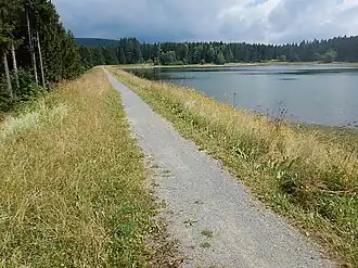 Kiefhölzer Teich, Dammkrone und Wasserfläche (2018)