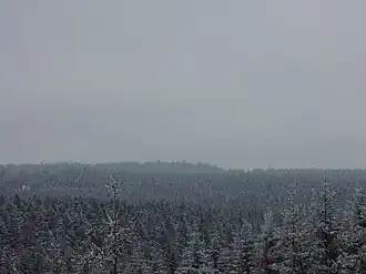 Gipfel des Kiel von der Schneckensteiner Halde aus gesehen