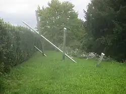 Abgebrochenes Pergolastück.