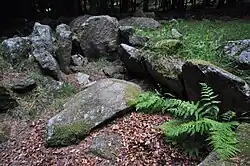 Wedge Tomb von Kilmashogue – die Kammer