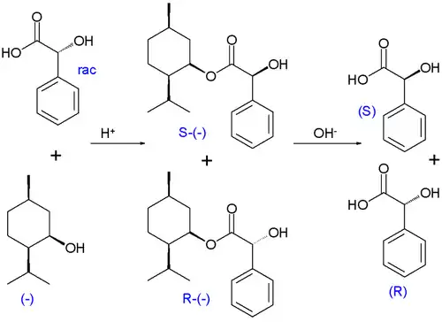 Kinetische Racematspaltung, Veresterung von racemischer Mandelsäure mit optisch aktivem (−)-Menthol nach Marckwald und McKenzie