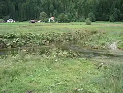 Zusammenfluss zweier Quellbäche bei Rahm