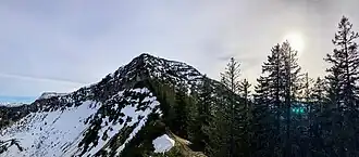 Kleiner Traithen vom Vogelsang