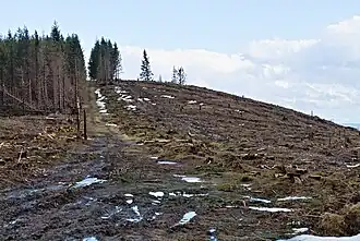 Kleiner Winterberg (2022)