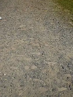 Alte Pflasterung bei Kleinheiligkreuz