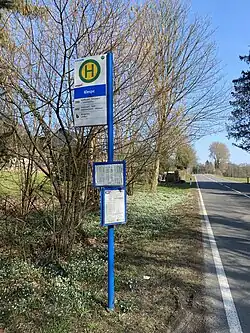 Bushaltestelle Klespe – Schneeglöckchen