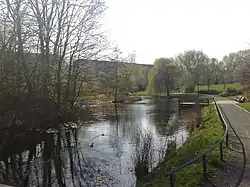 Grünanlage und Ententeich im Süden Königshufens