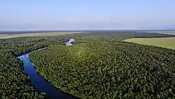 Kolchische Regenwälder und Feuchtgebiete